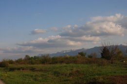 DSC1 (70).jpg